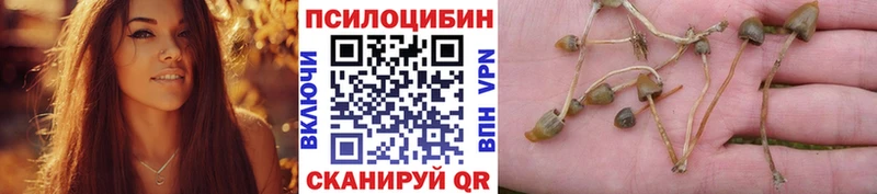 Псилоцибиновые грибы мухоморы  Билибино 